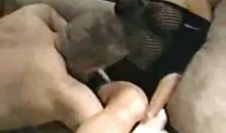 Tinh yêu cô gái tóc vàng và sec gai thu dam tóc nâu trên giường
